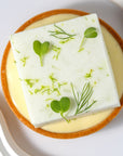 Ramon Morato pastry chef pure perou recipe Online Master Class Chocolate Pastry Class Cacao Barry