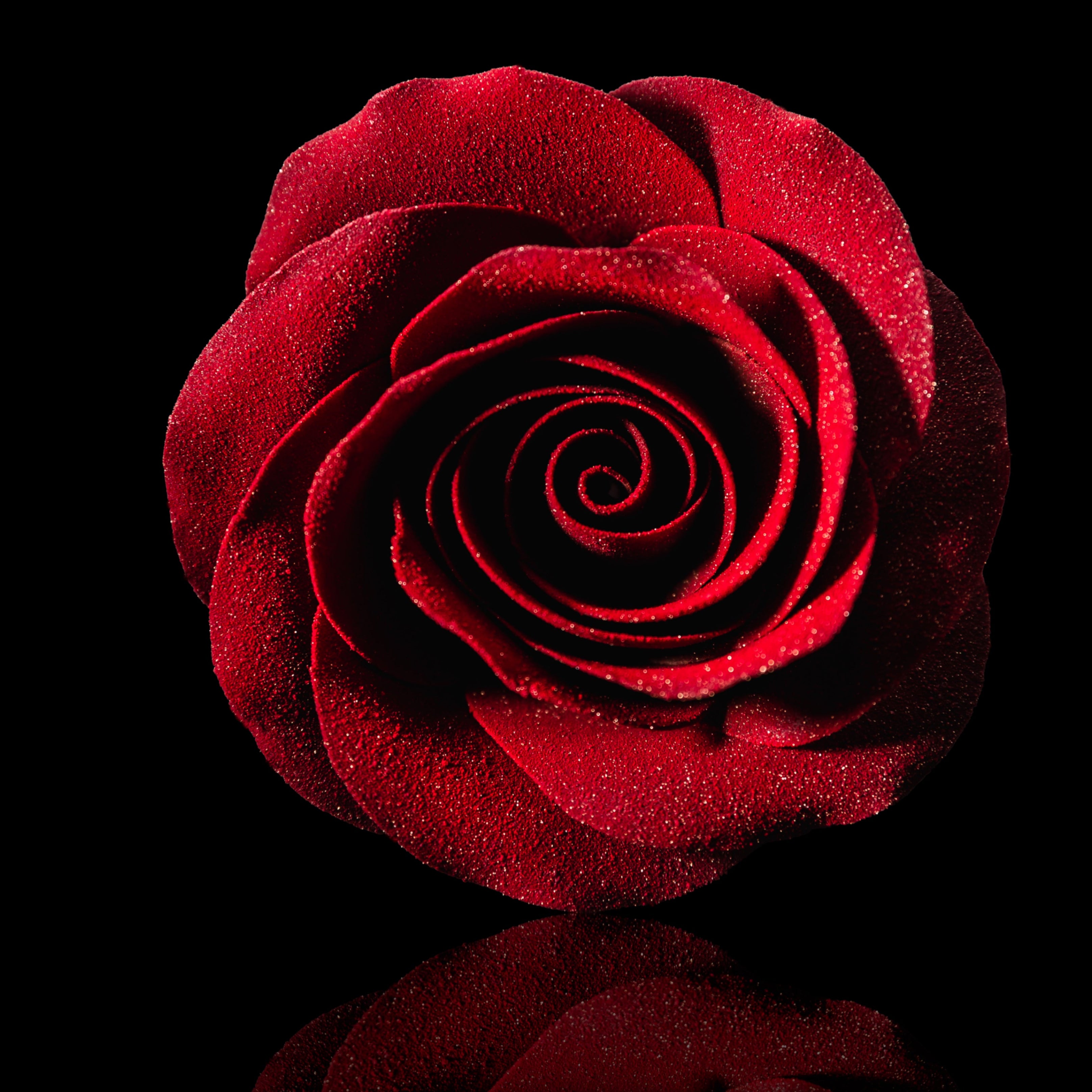 Frank Haasnoot pastry chef tart dessert recipe PastryClass Online Master Class Prisma Book by Frank Haasnoot